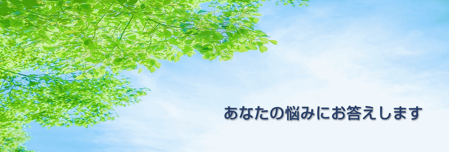 脇島正法律事務所